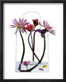 Shopping by the Sea