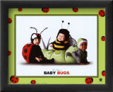 Baby Bugs