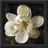 Magnolia I