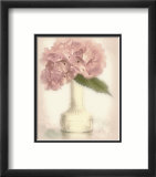 Lovely Hydrangea