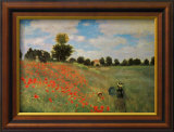 Wild Poppies