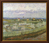 Orchard