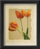 Tangerine Tulips II