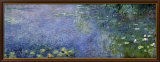 Waterlilies II