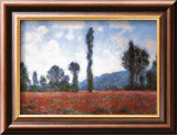 Field of Poppies