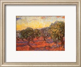 The Olive Grove  c1889