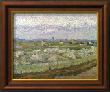 Orchard