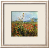 Field with Poppies