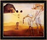 Enchanted Beach with Three Fluid Graces