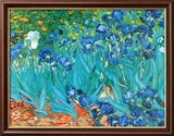 Irises  c1889