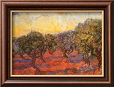 The Olive Grove  c1889