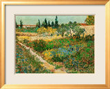 Flower Garden