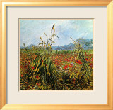 Field with Poppies