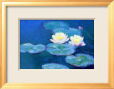 Waterlilies  Evening