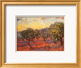 The Olive Grove  c1889