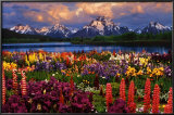 Grand Teton