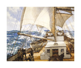 Gale Force Eight