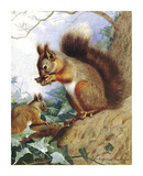 Squirrels in a Tree
