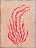 Coral Island I
