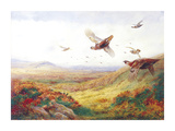 Partridges in Flight