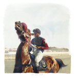 The Turf Club