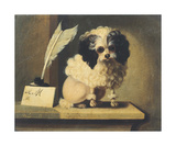 Poodle