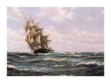 The Green Clipper  'Matilda Wittenbach'