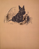 Dog's Life II