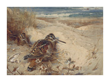 In From the North Sea