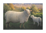 Ewe And Lamb