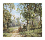 Horse and Cart