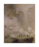 Ptarmigans in a Mountain Landscape