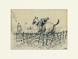 The Remount