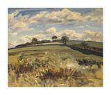 Withypool Landscape  Exmoor