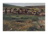 Exmoor Ponies