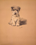 Dog's Life III
