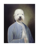 Sir Robert