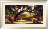 Napa Patio