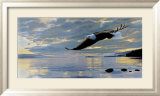 Dawn Flight