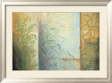 Ferns and Grasses