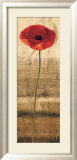 Poppy Panel II