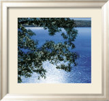 Silver Light  2006