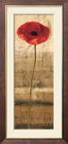 Poppy Panel II