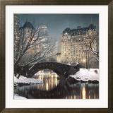 Twilight in Central Park