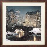 Twilight in Central Park