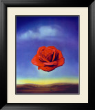Rose Medidative  c1958