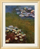 Water Lilies  Harmony in Blue