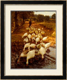 The Watersplash  c 1899
