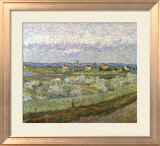 Orchard