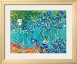 Irises  c1889
